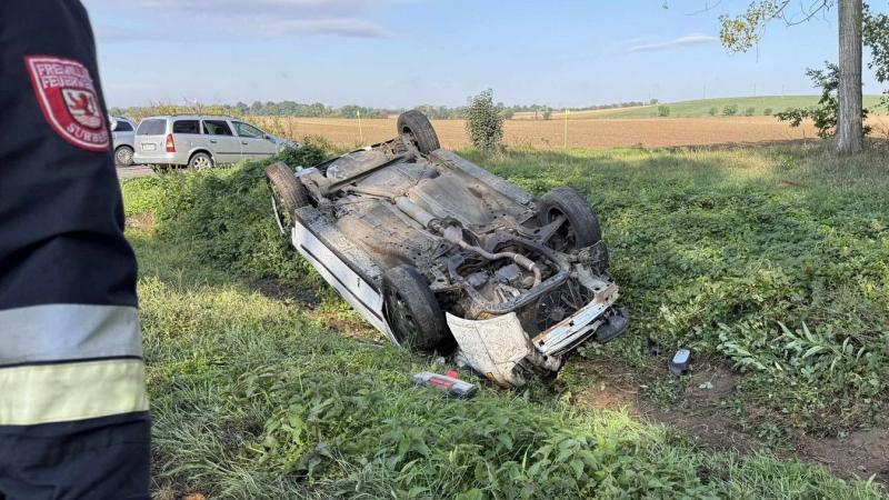 Felejthetetlen élmény vár ránk a Bakonyalján, ahol a híres halastó varázslatos környezetében egy váratlan esemény zajlott. (Helyszíni fényképek a történtekről)