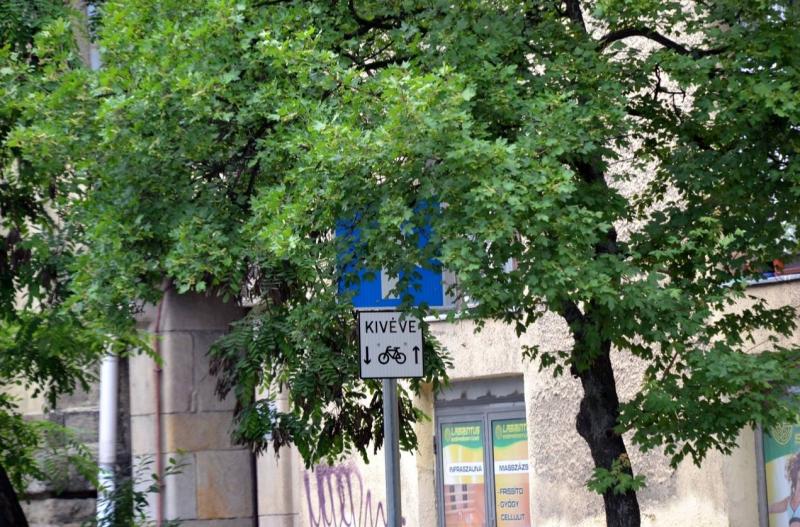 Űrbe nyúló fák, amelyek lombkoronájuk széles árnyékával takarják el a táblákat, valamint különféle szemet gyönyörködtető érdekességek.